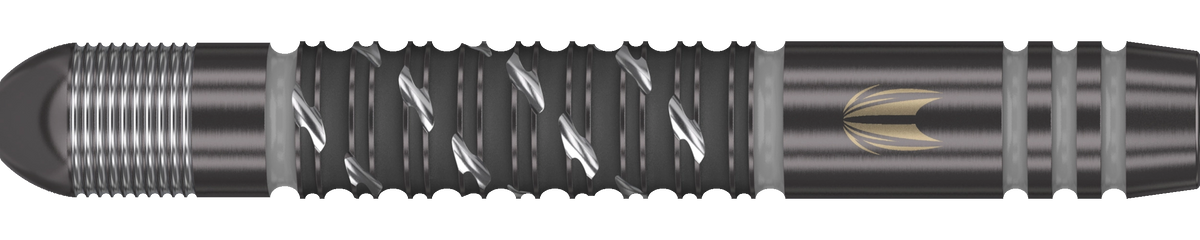 Target Dimitri van den Bergh G2 x Echo Swiss Point Steeldart 90%
