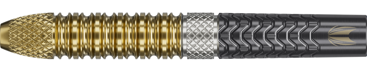 Target Raymond van Barneveld G6 Swiss Point Steel Tip Darts 95%