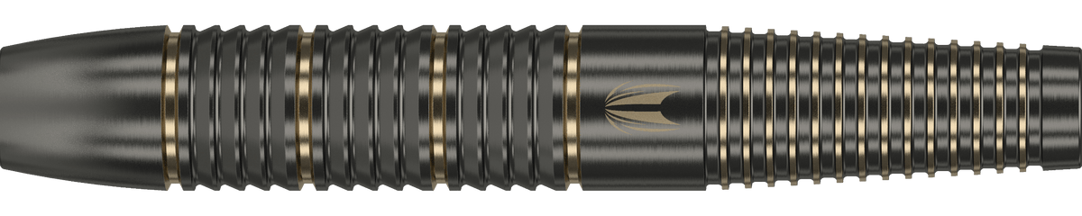 Target Raymond Van Barneveld Softdart Brass