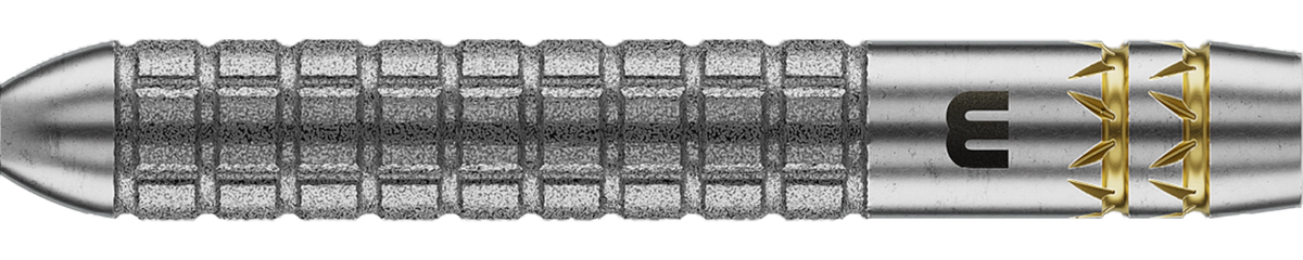 Winmau Gian van Veen W-Max Switch Point Steeldart 90%