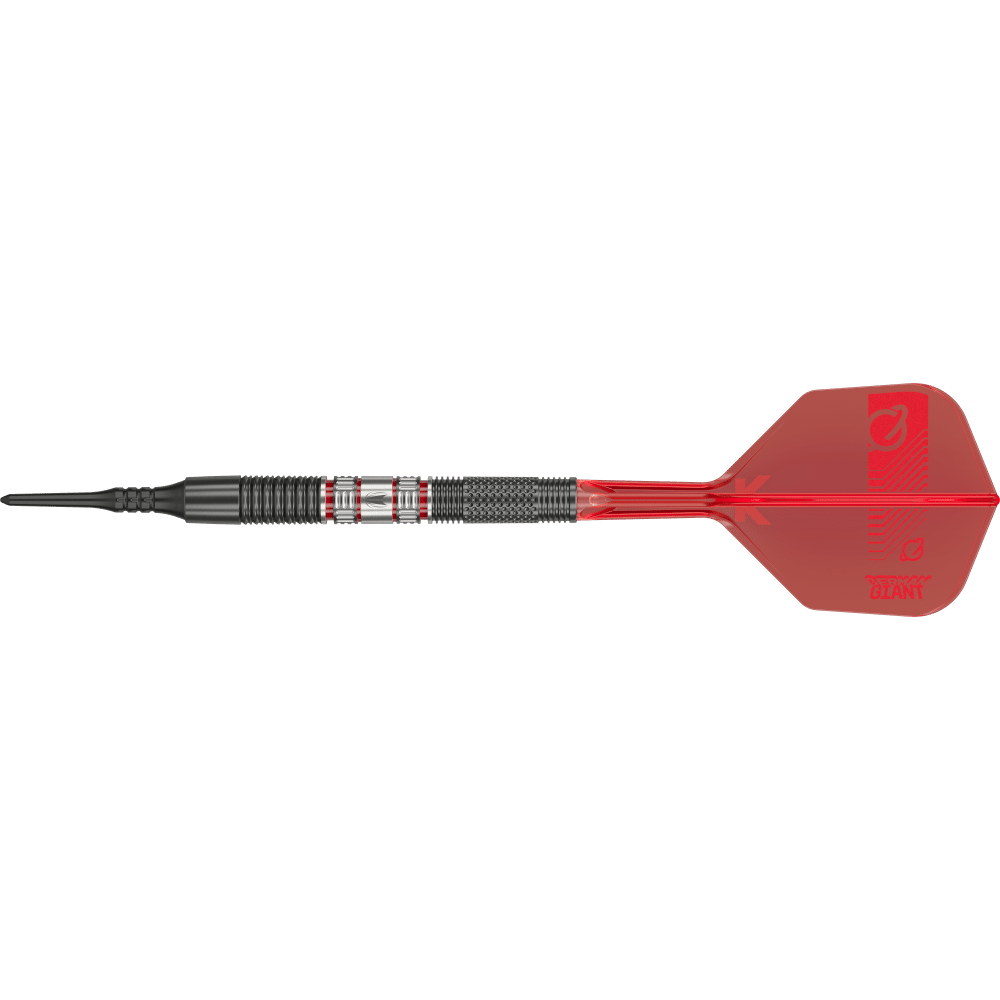 Target Gabriel Clemens 95K Softdart 95%
