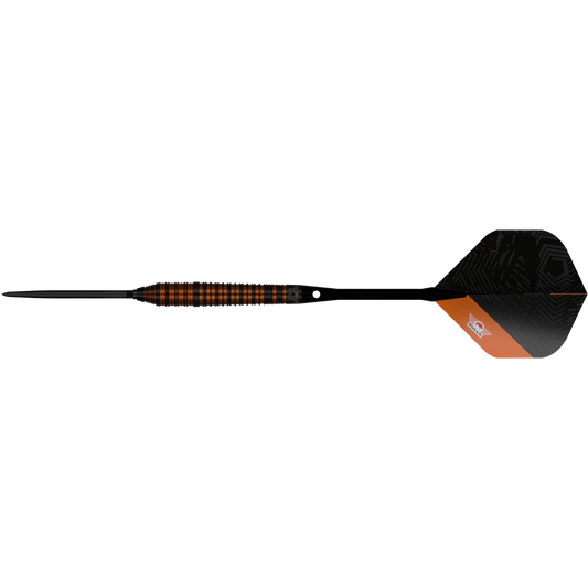 Bull`s NL Dirk van Duijvenbode Black CP Steeldart 80%