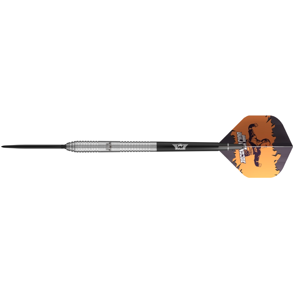 Bull`s NL Dirk van Duijvenbode CP Steeldart 90%