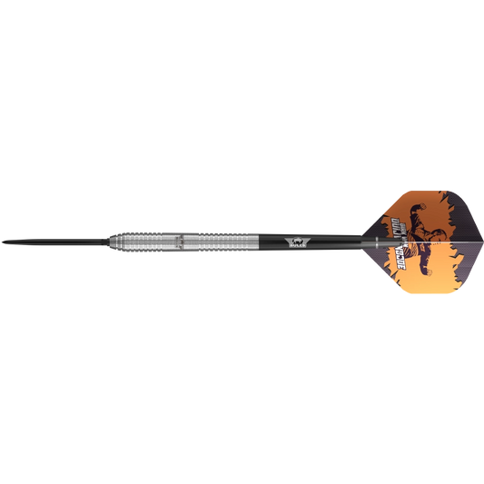 Bull`s NL Dirk van Duijvenbode CP Steeldart 90%