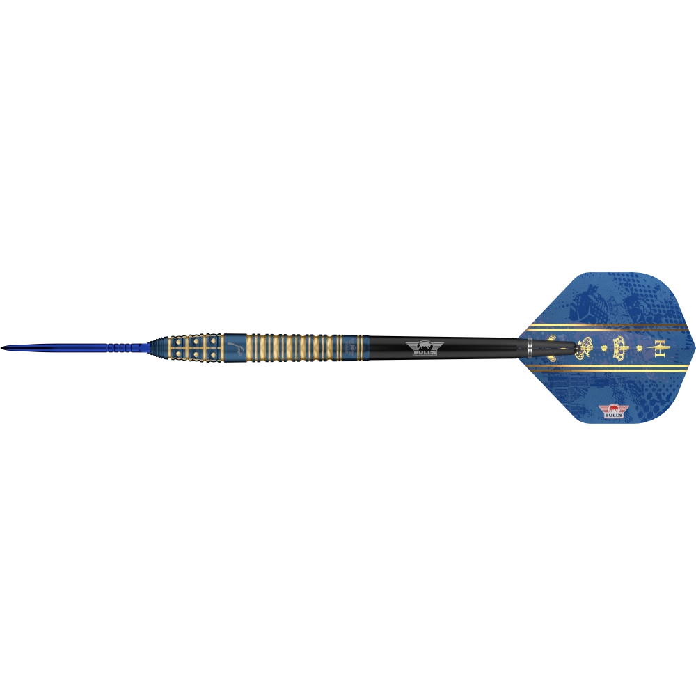 Bull`s NL Kim Huybrechts CP Steeldart 95%