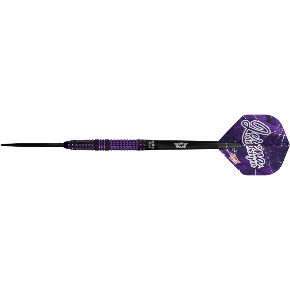 Bull`s NL Lerena Rietbergen CP Steeldart 90%