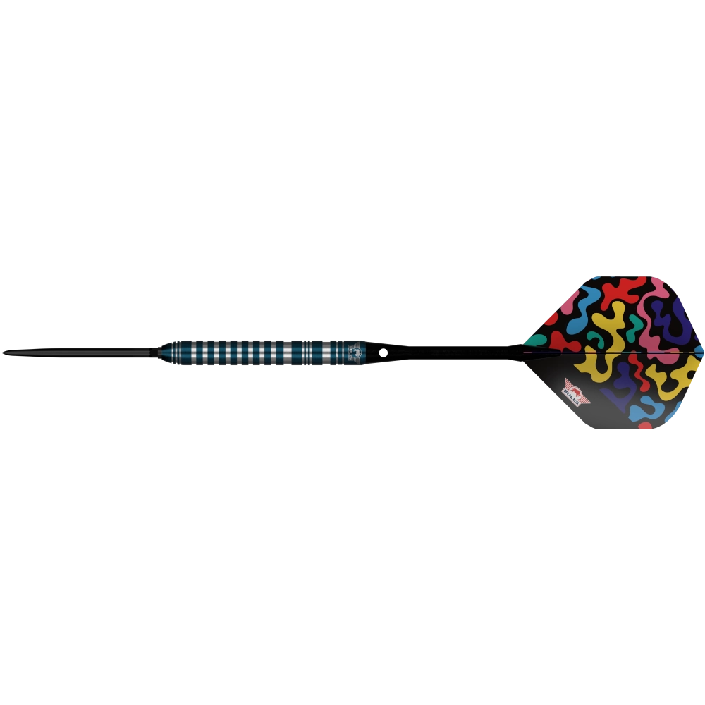 Bull`s NL Ricky Evans Blue CP Steeldart 80%