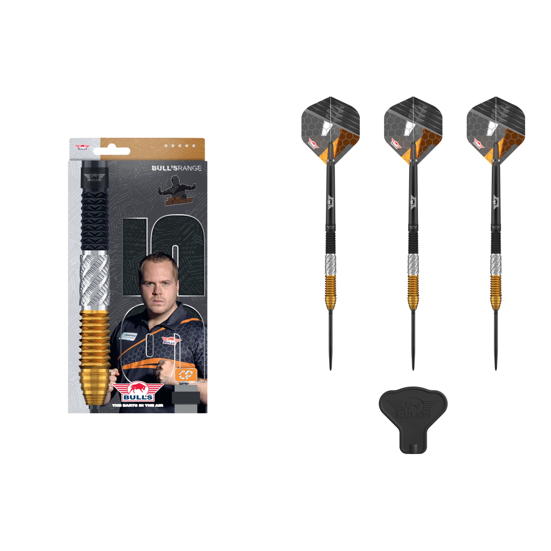 Bull's NL Dirk van Duijvenbode 95 Convertible Point Steeldart 95%