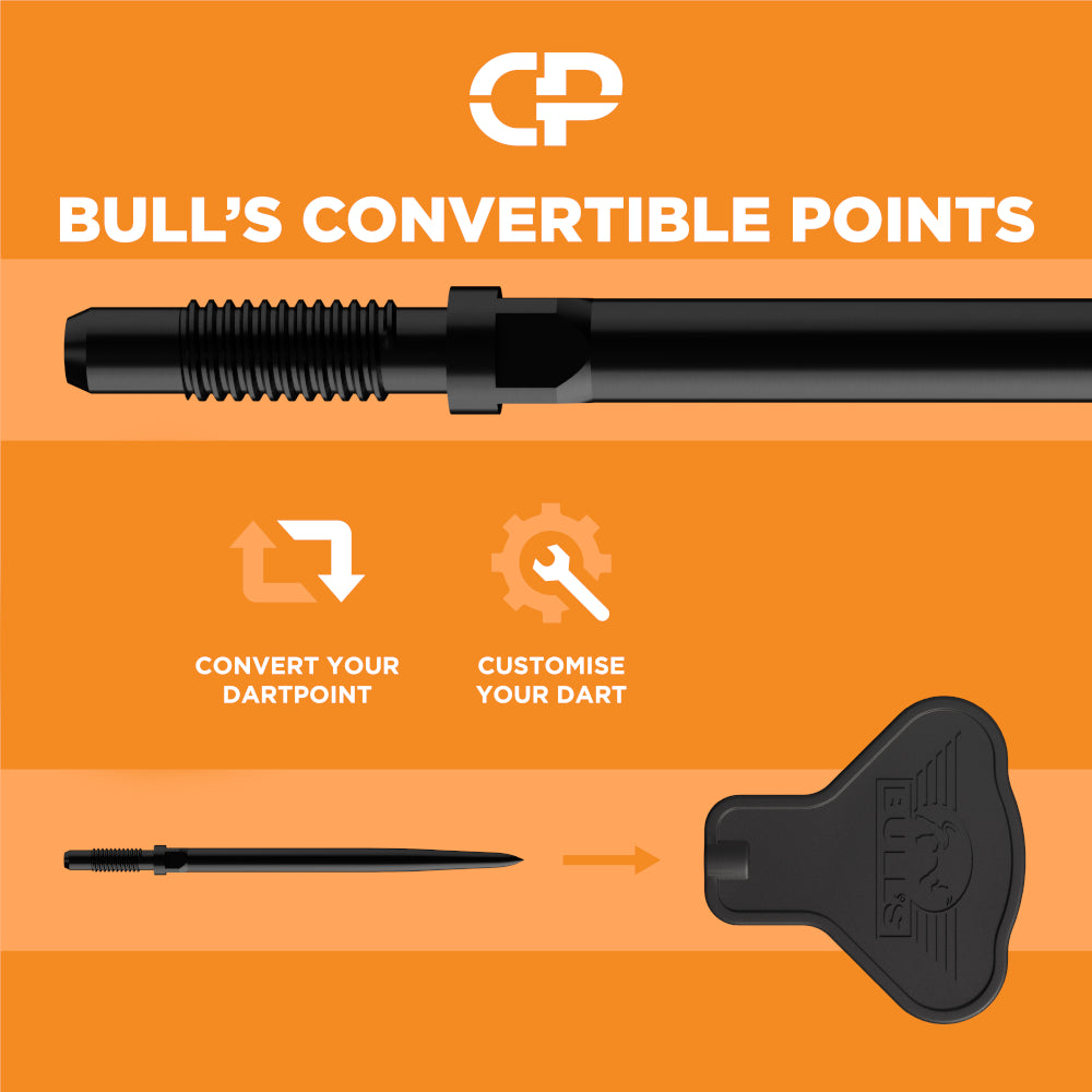 Bull's NL Dirk van Duijvenbode 95 Convertible Point Steeldart 95%