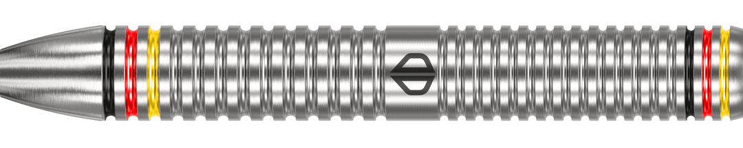 Datadart Ricardo Pietreczko Steeldart 80%