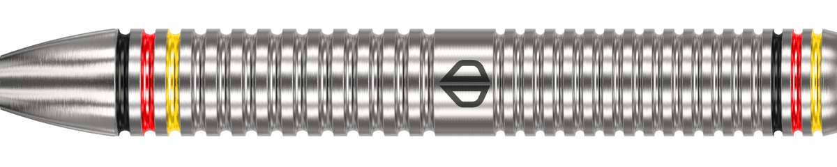 Datadart Ricardo Pietreczko Steeldart 80%