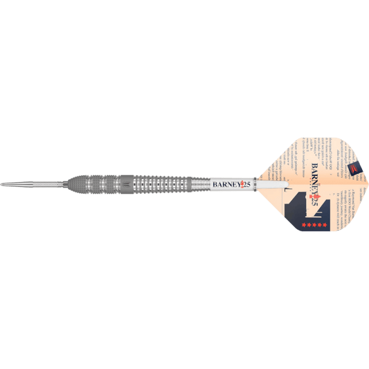 Target Raymond van Barneveld BARNEY25 Swiss Point Steel Tip Darts 95%