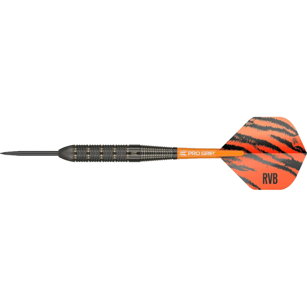 Target Raymond Van Barneveld Steel Tip Brass