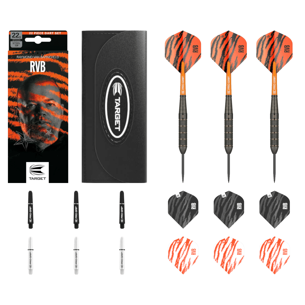 Target Raymond Van Barneveld Steel Tip Brass