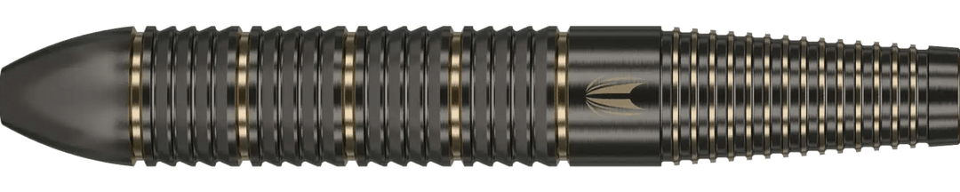 Target Raymond Van Barneveld Steel Tip Brass