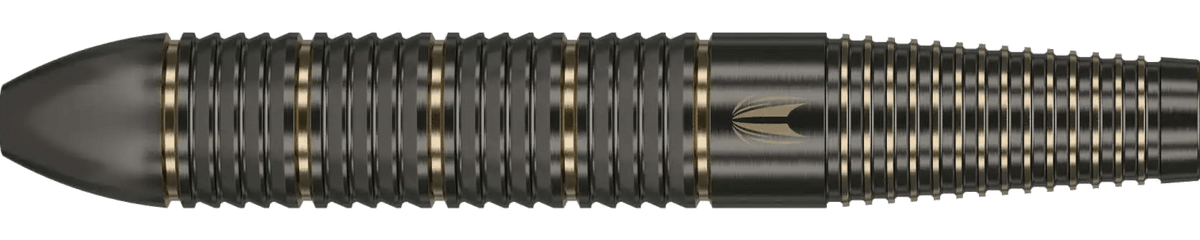 Target Raymond Van Barneveld Steel Tip Brass