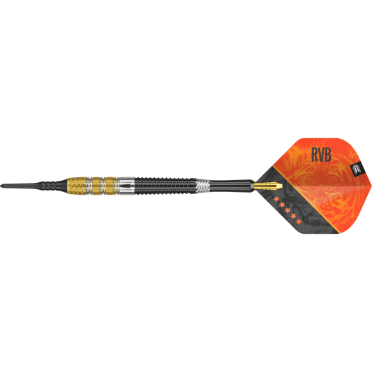 Target Raymond van Barneveld G4 Soft Tip Darts 95%
