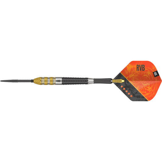 Target Raymond van Barneveld G4 Swiss Point Steel-Tip Darts 95%