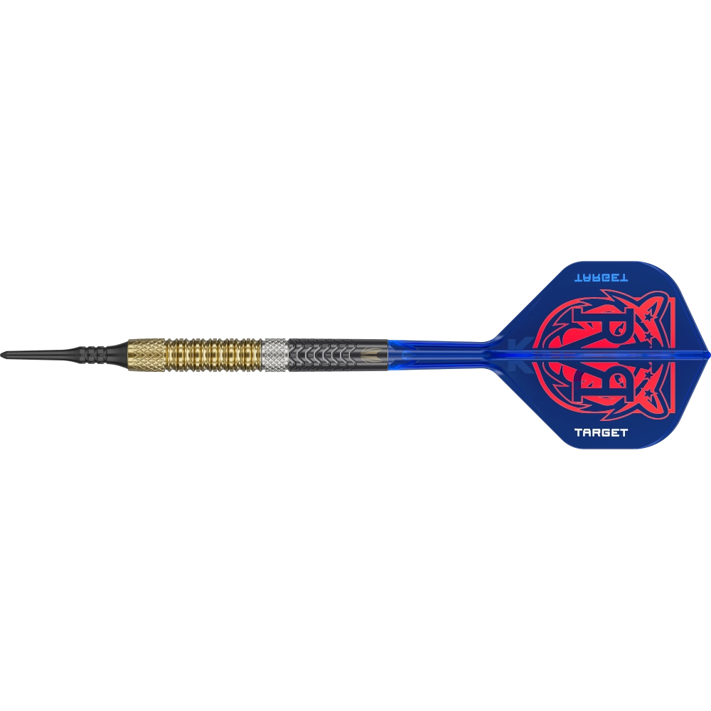 Target Raymond van Barneveld G6 Soft Dart 95%