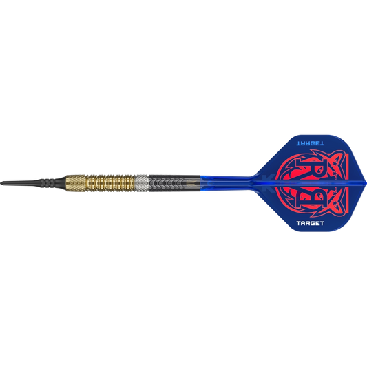 Target Raymond van Barneveld G6 Soft Dart 95%