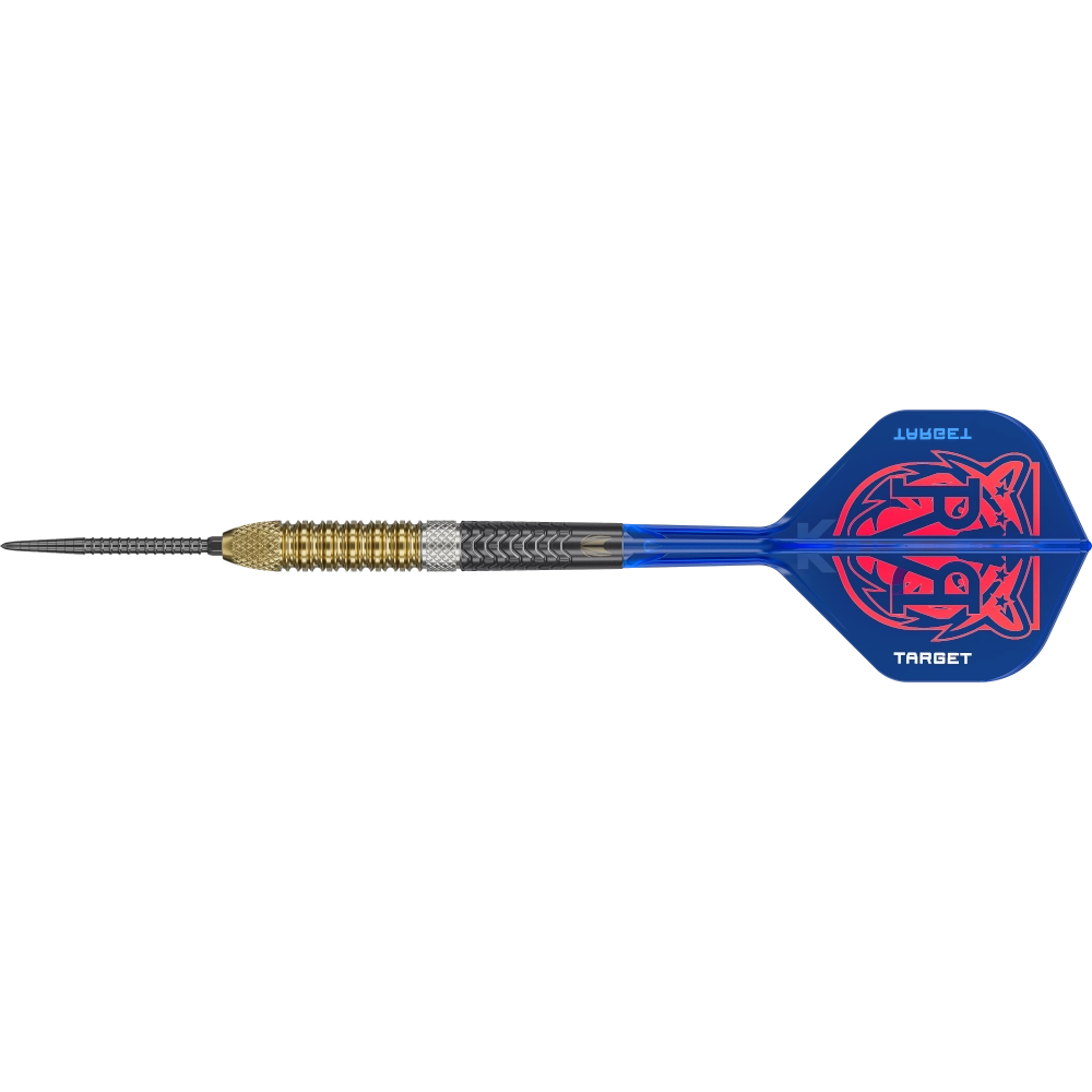 Target Raymond van Barneveld G6 Swiss Point Steel Tip Darts 95%