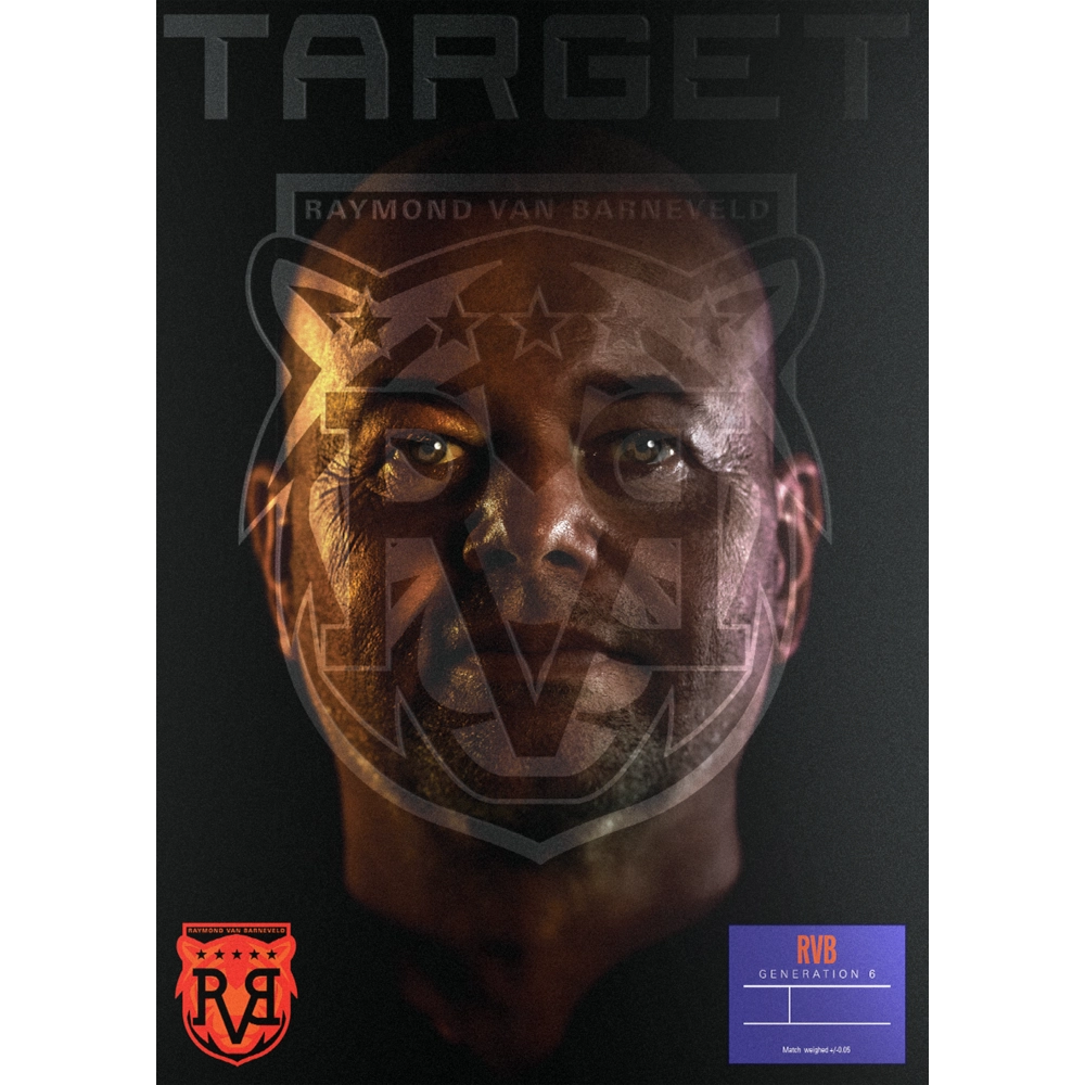 Target Raymond van Barneveld G6 Swiss Point Steel Tip Darts 95%