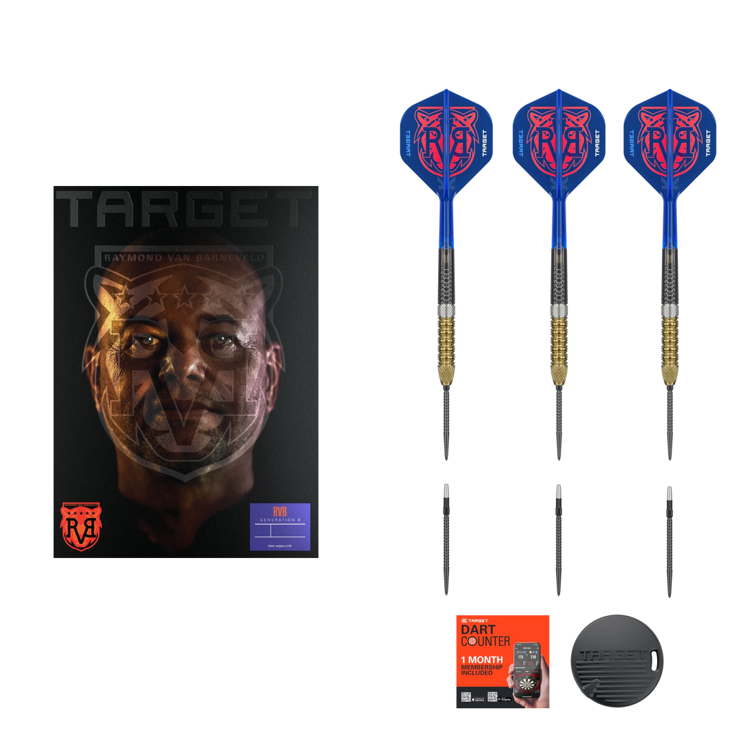 Target Raymond van Barneveld G6 Swiss Point Steel Tip Darts 95%