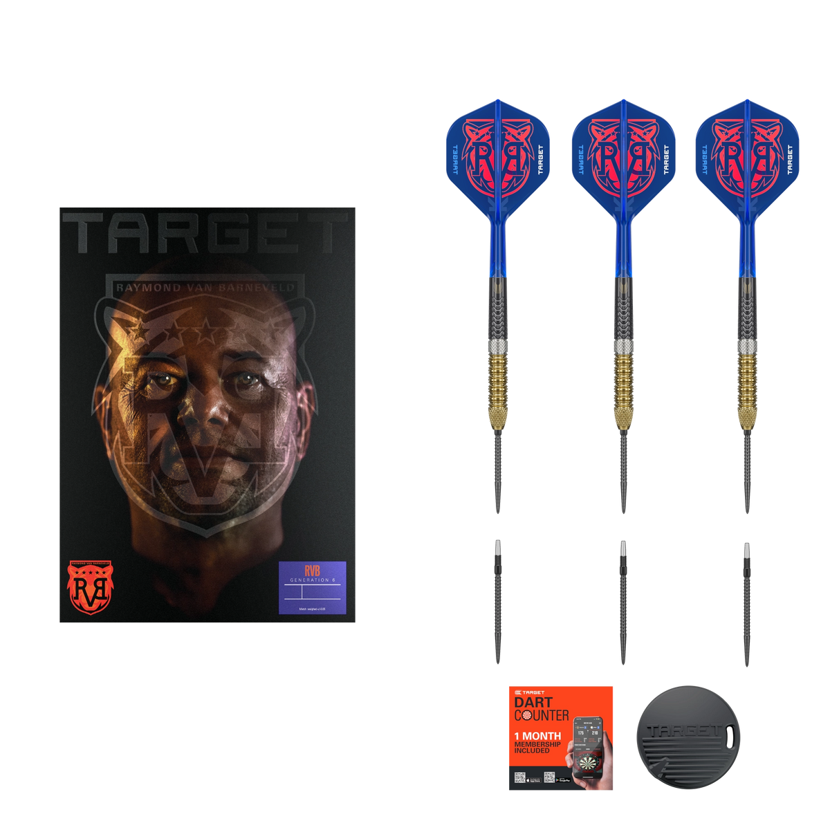 Target Raymond van Barneveld G6 Swiss Point Steel Tip Darts 95%