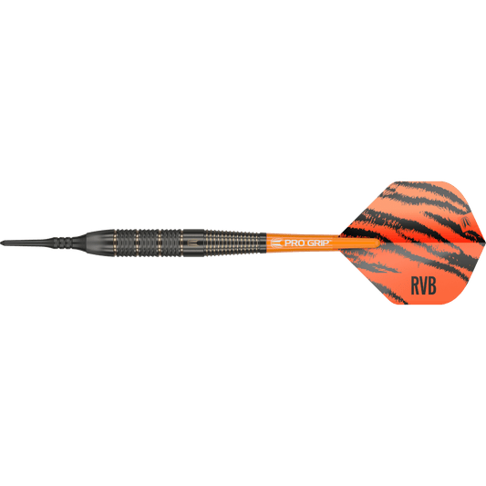 Target Raymond Van Barneveld Soft Tip Brass Darts
