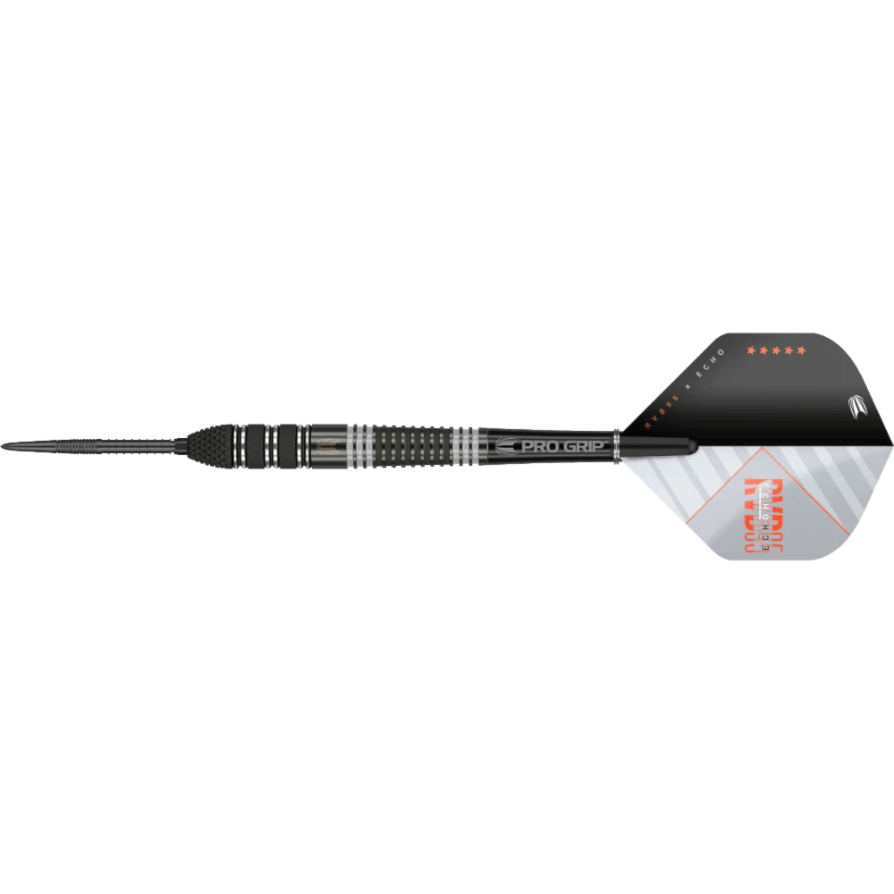 Target Raymond Van Barneveld x Echo Swiss Point Steel Darts 95%