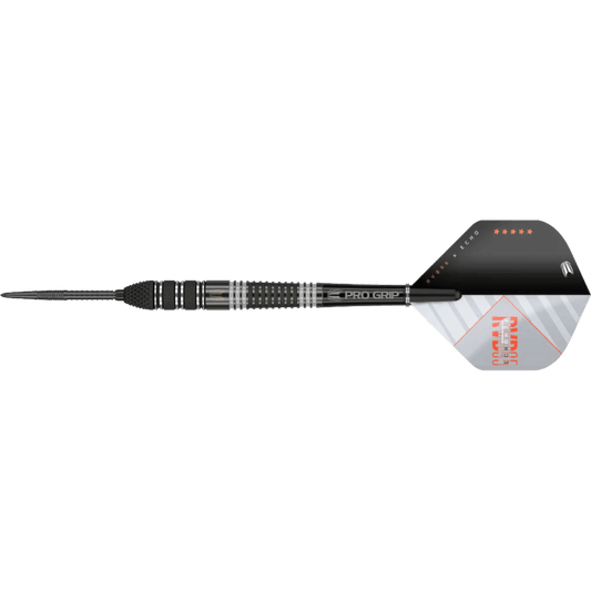 Target Raymond Van Barneveld x Echo Swiss Point Steel Darts 95%
