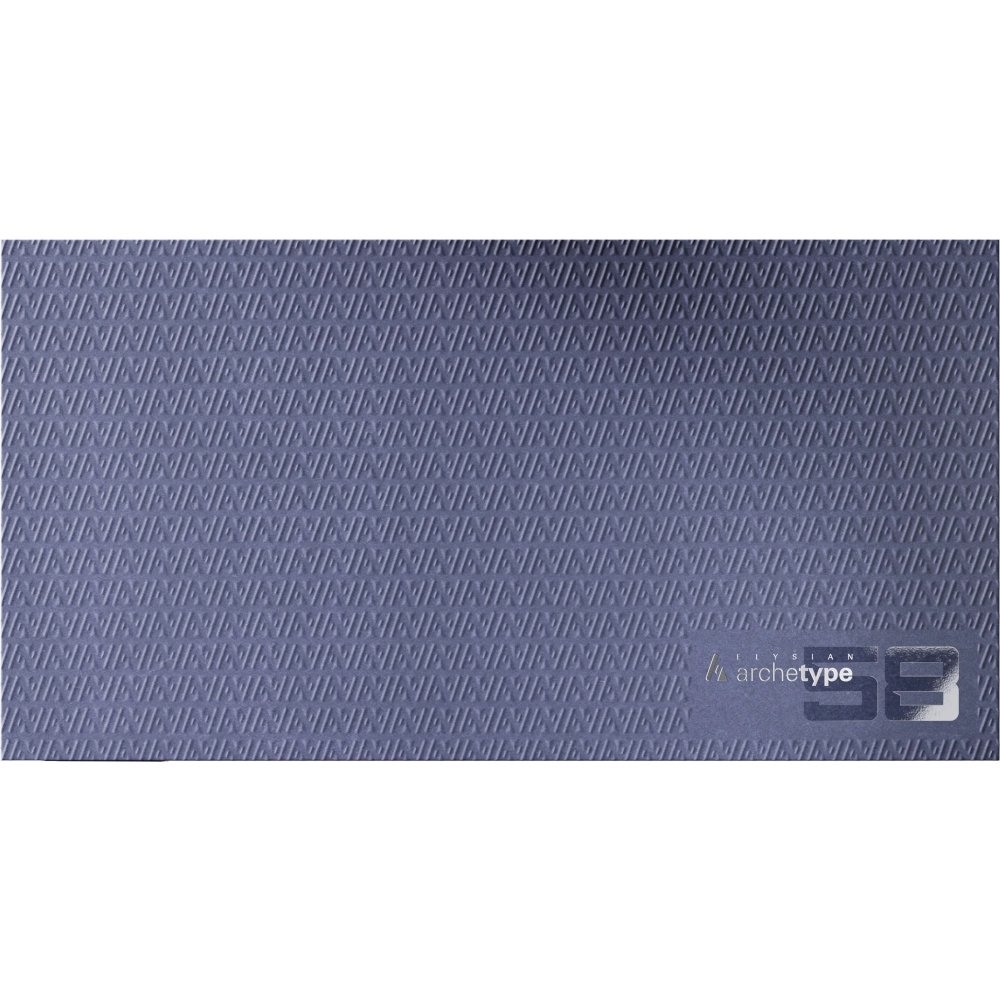 Target Elysian Archetype 58 SP Steeldart - Verpackung