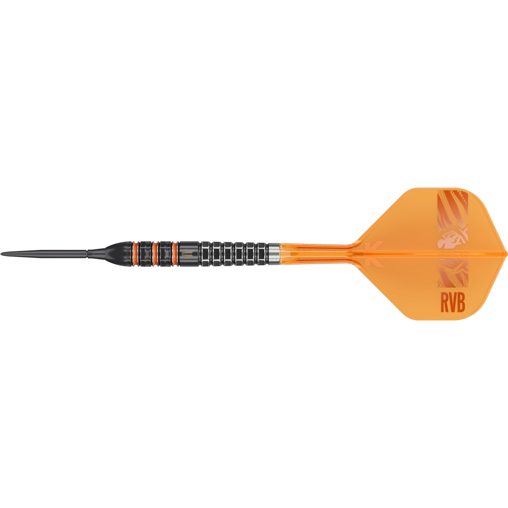 Target Raymond van Barneveld 95K SP Steeldart 95% - Dart