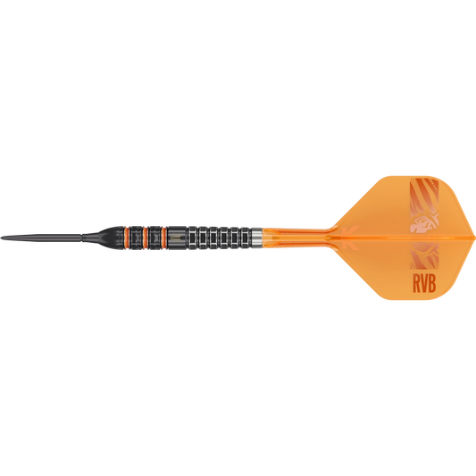 Target Raymond van Barneveld 95K SP Steeldart 95% - Dart