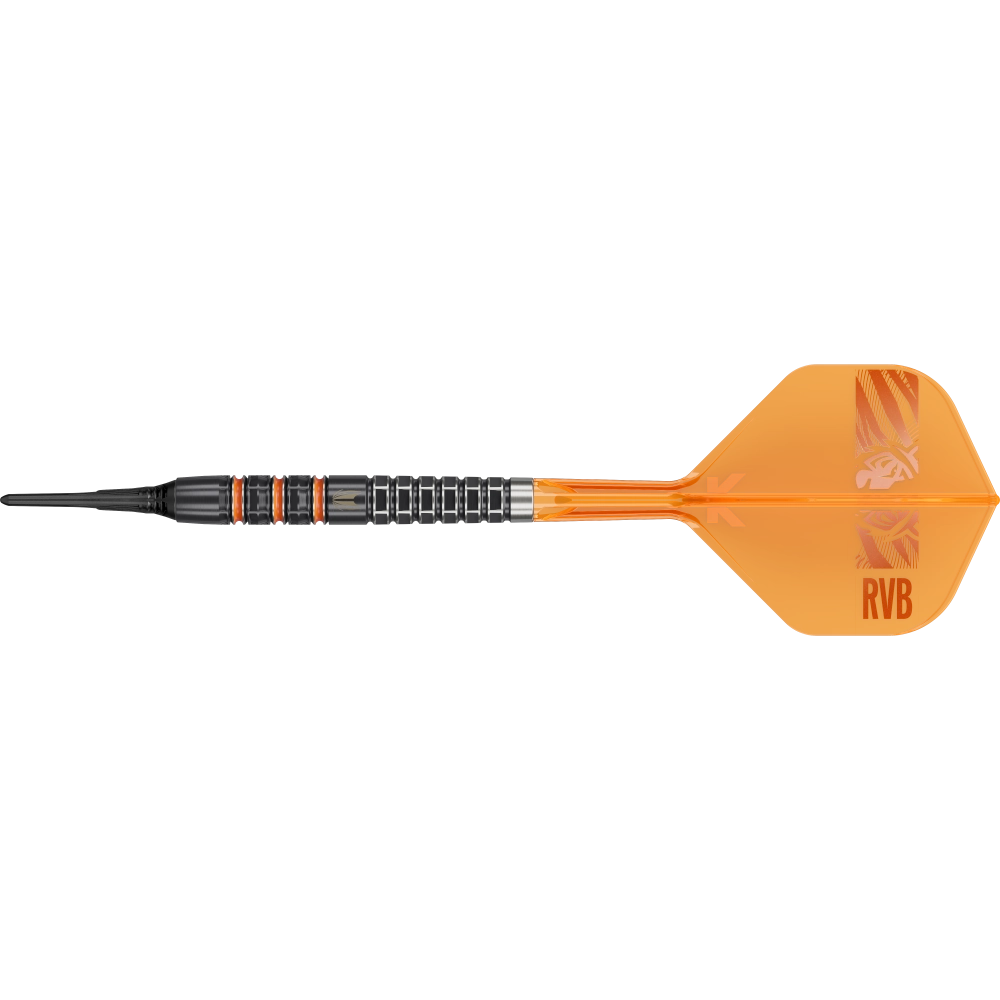 Target Raymond van Barneveld 95K Softdart 95% - Dart