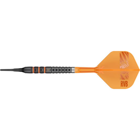 Target Raymond van Barneveld 95K Softdart 95% - Dart