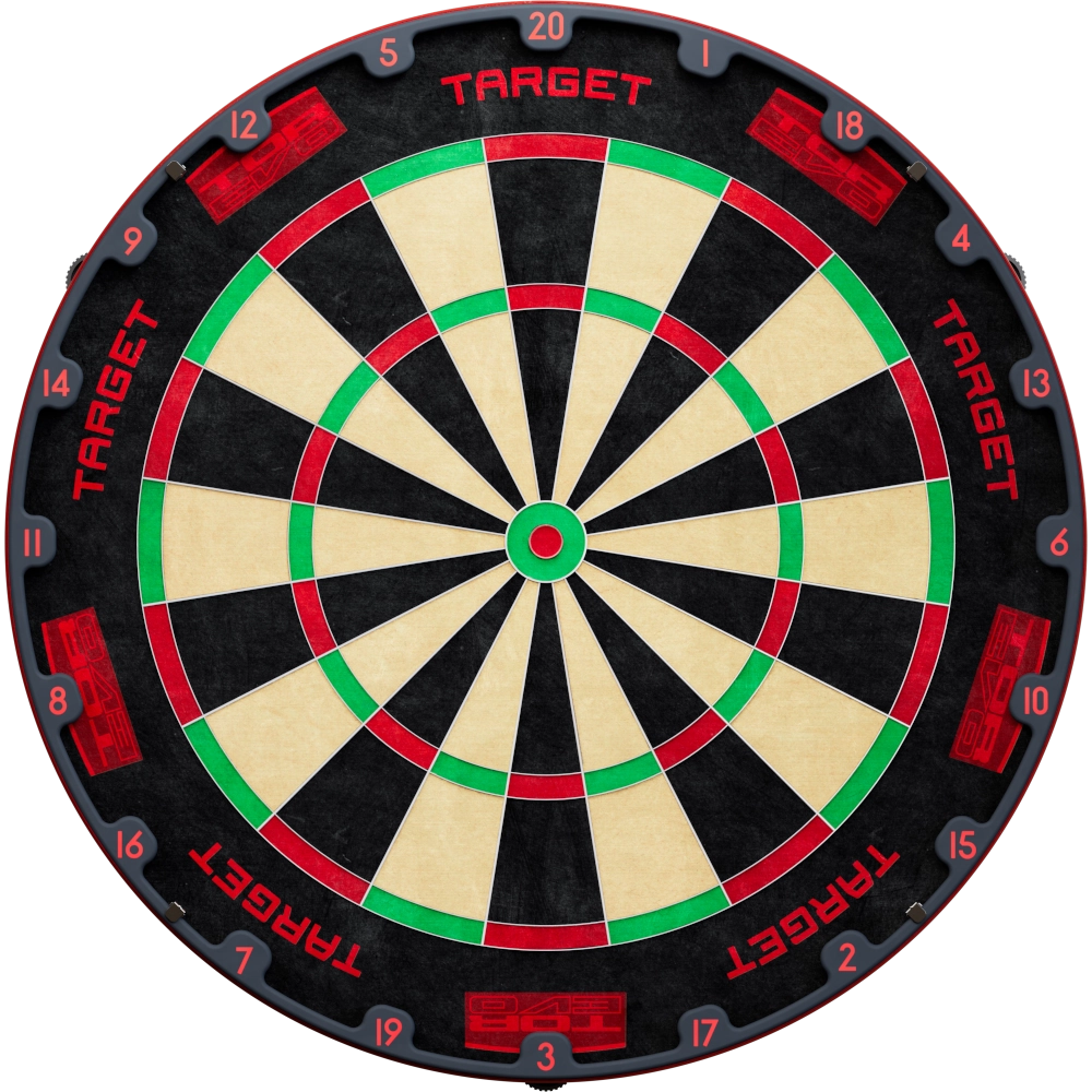 Target Tor Evo Dartboard - Frontansicht