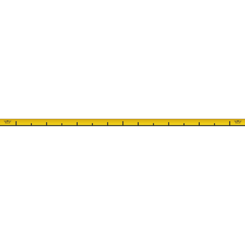 Bull's NL Metal Oche Throw Line