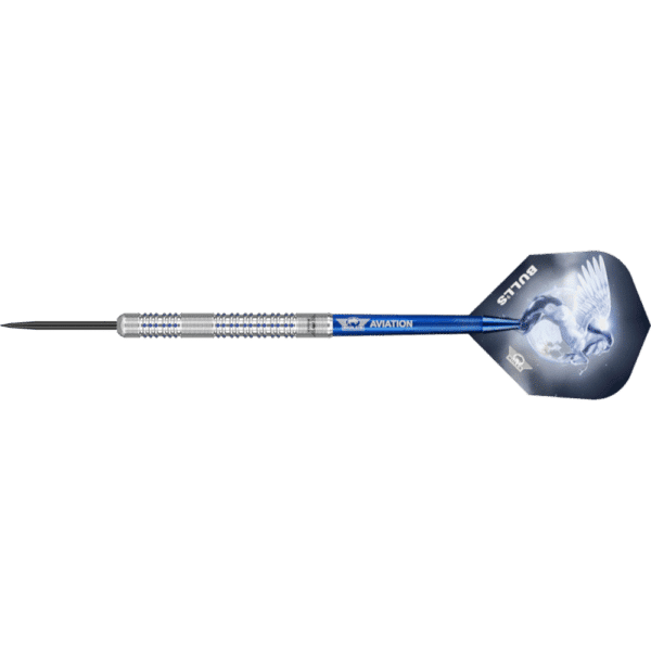 Bull's NL Blue Pegasus B Steeldart 95%