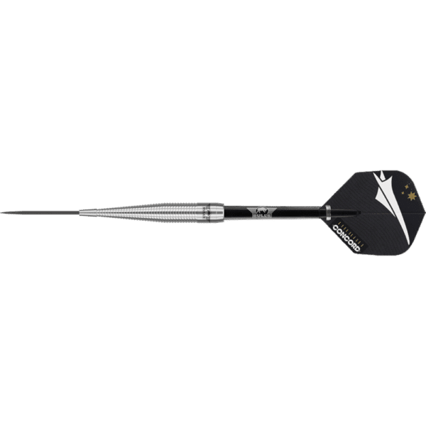 Bull's NL Concord Steeldart 80%