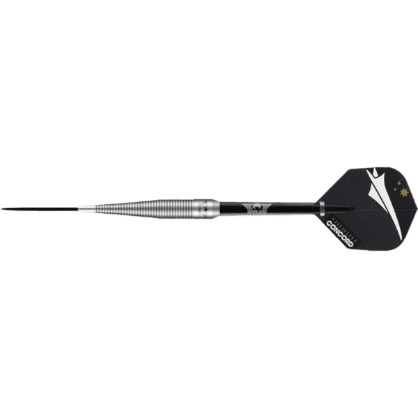 Bull's NL Concord Steeldart 80%