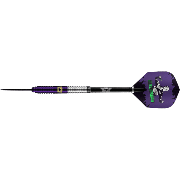 Bull's NL Dirk van Duijvenbode "Aubergenius" E1 Steeldart 90%
