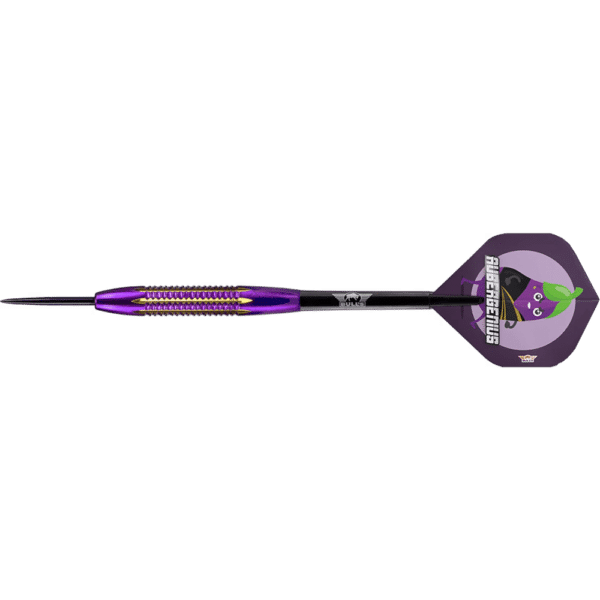 Bull's NL Dirk van Duijvenbode "Aubergenius" Steeldart Brass