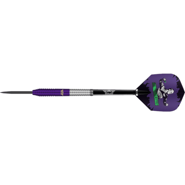 Bull's NL Dirk van Duijvenbode E1 Steeldart 90%