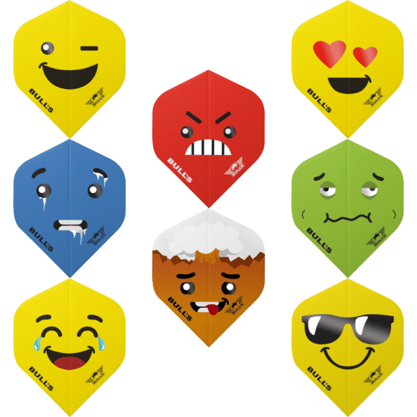 Bull's NL Smiley Standard Flight
