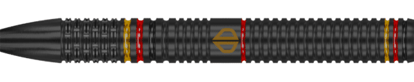 Datadart Ricardo Pietreczko Steeldart 90%