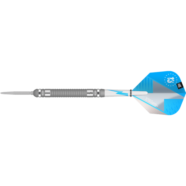 Target Phil Taylor Series Silver Swiss Point Steeldart 80%