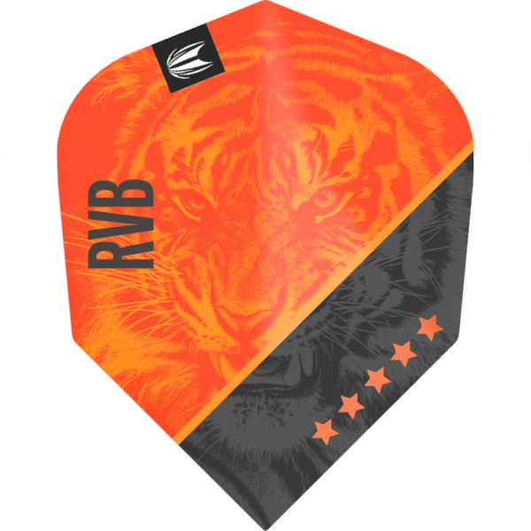 Target Pro Ultra Raymond van Barneveld G4 Small Standard Flight
