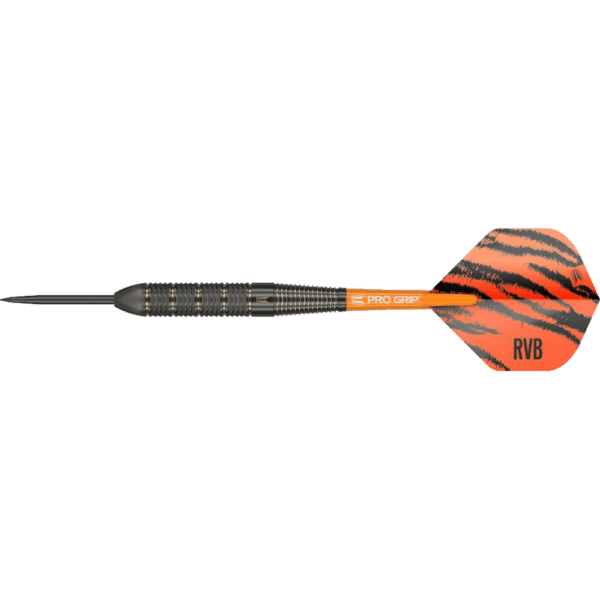 Target Raymond Van Barneveld Steeldart Brass
