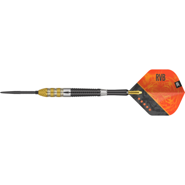 Target Raymond van Barneveld G4 Swiss Point Steeldart 95%